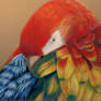 Macaw in pastel
