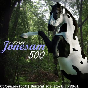 HEE Avatar for Jonesam500 Stables 2