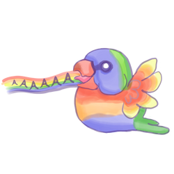 Chubby Rainbow Lorikeet Bird