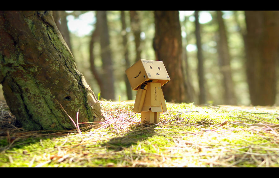 Danbo's Woodland Wander by RyanMichael