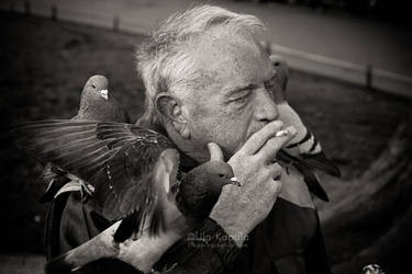 Daniel And The Pigeons II by ukapala