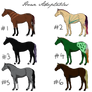 Horse Adoptables