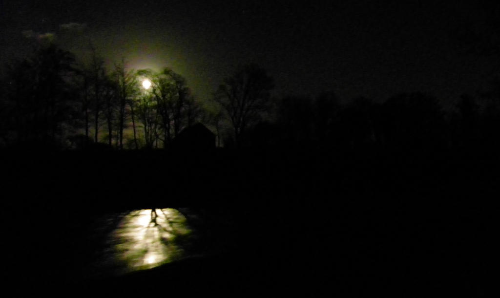 Moonlight on the river