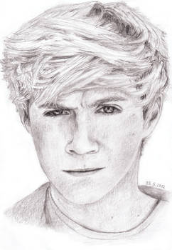 Niall Horan - One Direction