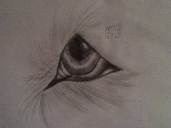 Wolf eye(rough)