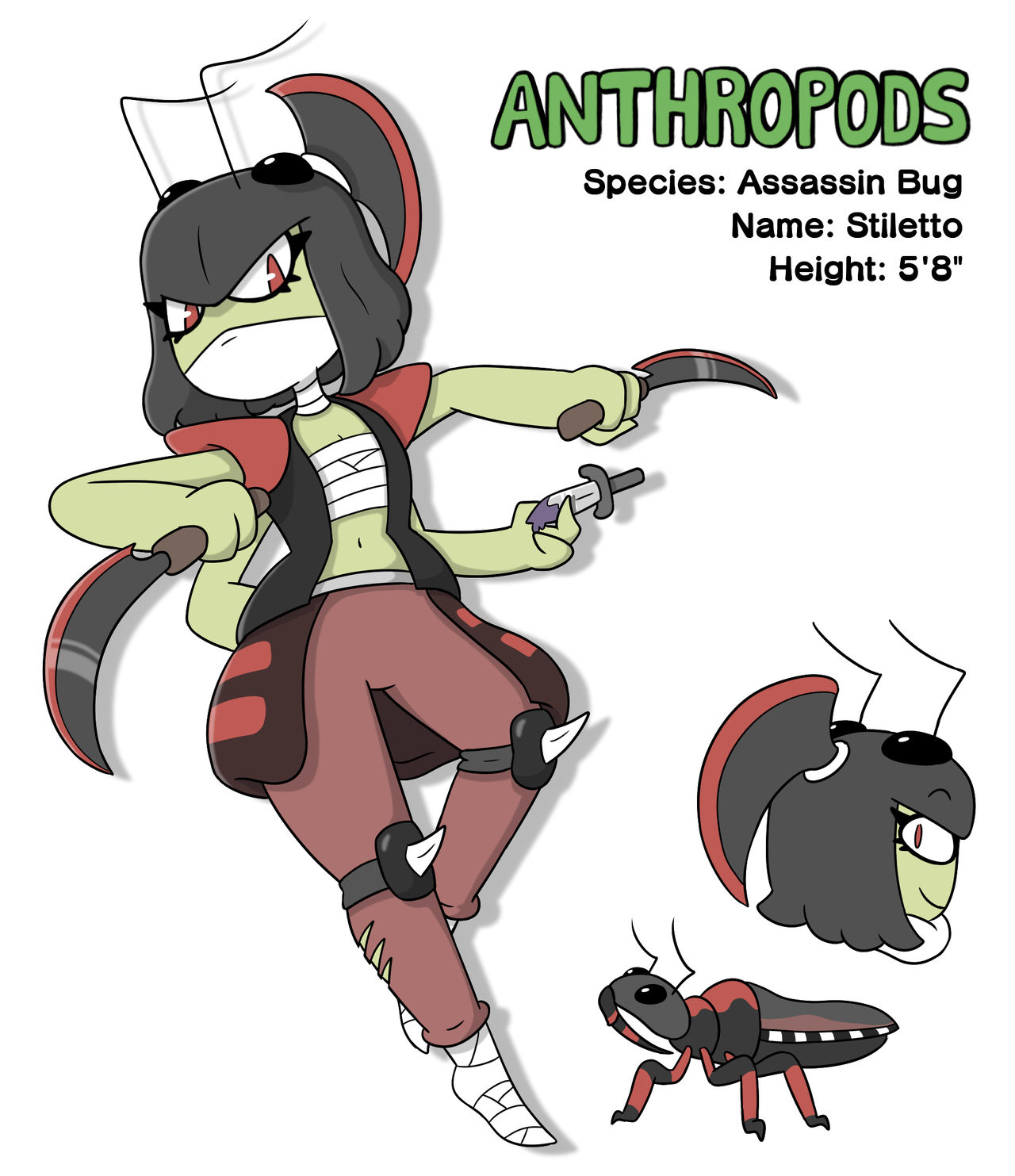 Fake Assassin Bug Assassin Bug by TsunRaptor on DeviantArt