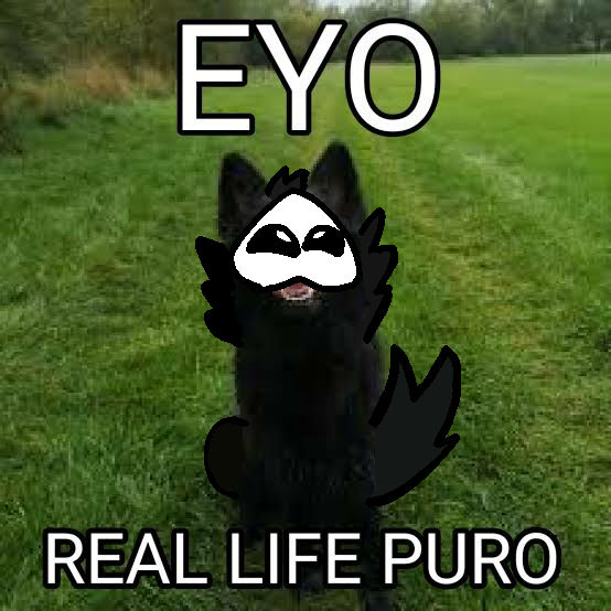 IRL Puro meme by BlixerTheDevianArter on DeviantArt