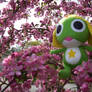 Keroro In a Tree