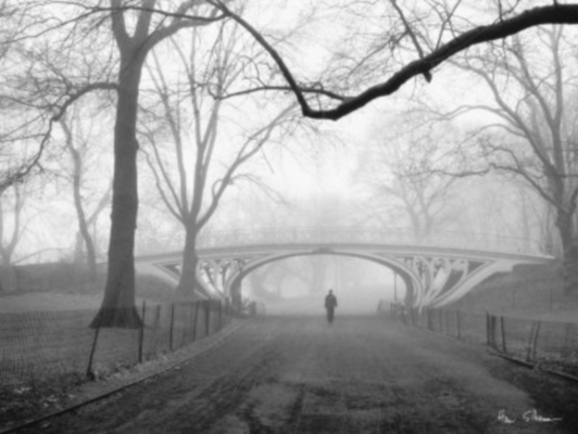 Gothic Bridge, Central Park