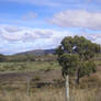 Niergendwo in Tasmania