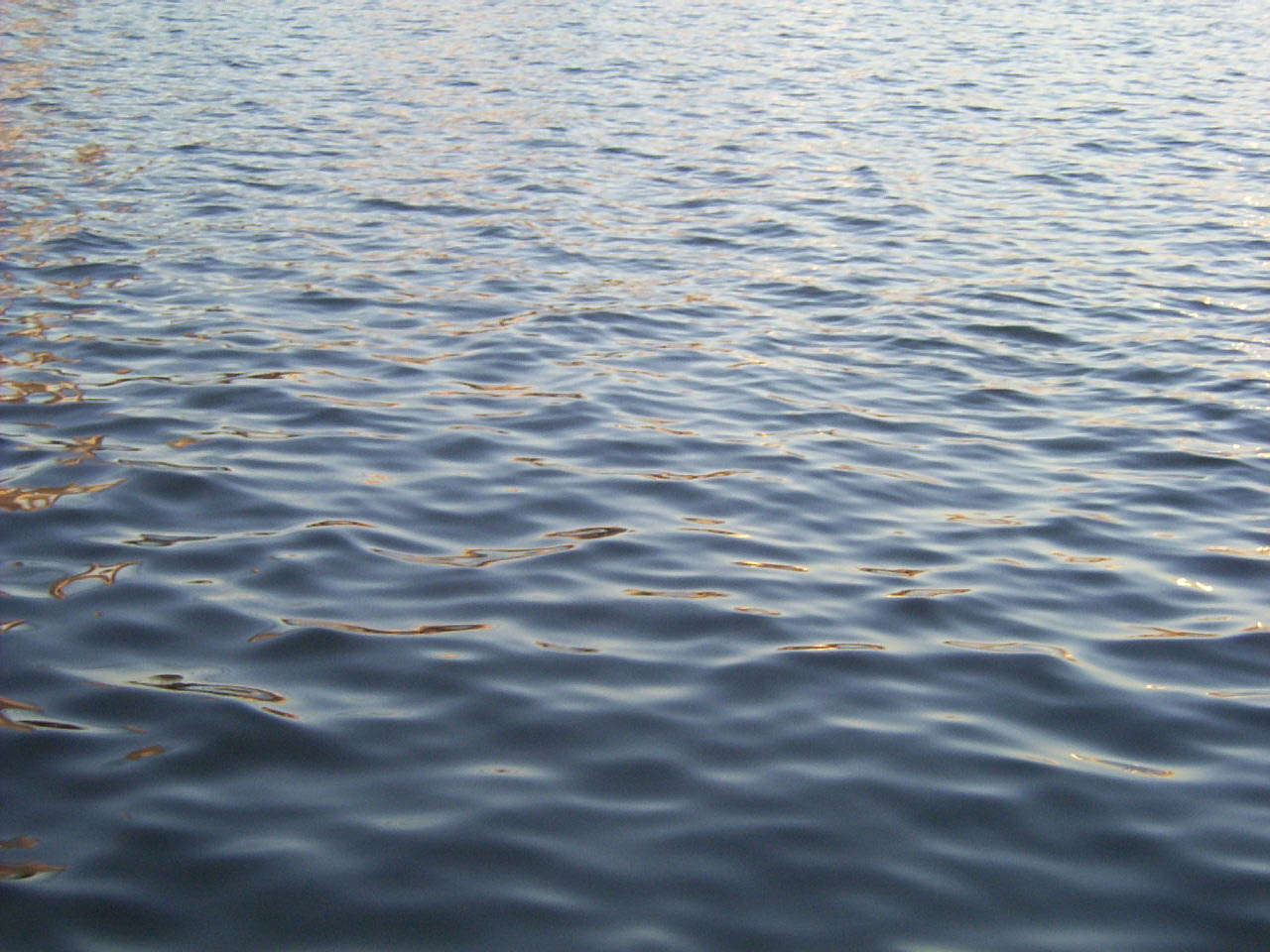 Ripples