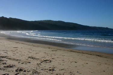 seal rocks