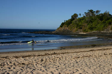 seal rocks 2