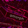 Amorph edition 2005