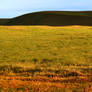 Roadside Columbia Basin - Background