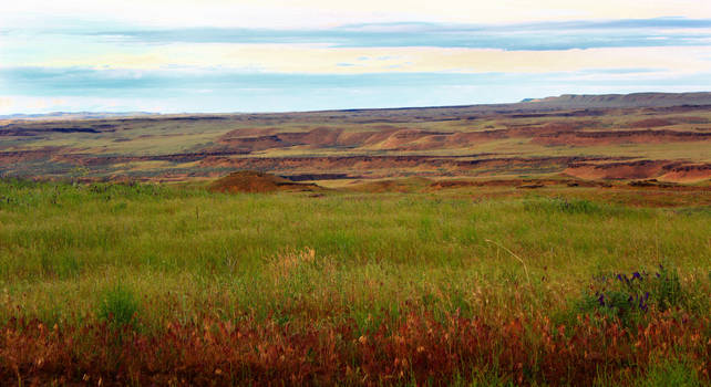 Roadside Columbia Basin - Background