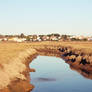 Marismas (Marshes)