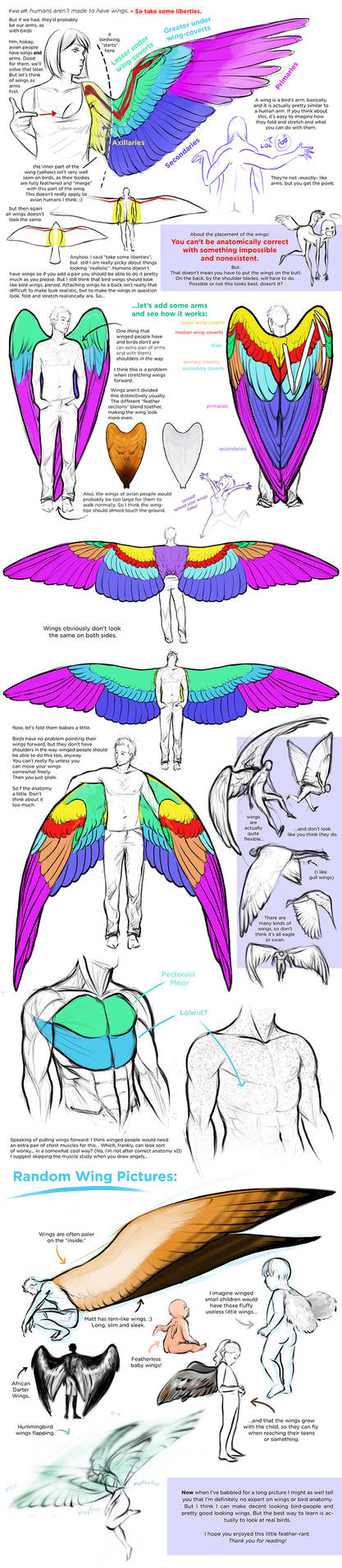 Thoughts on Wings by Uzlo