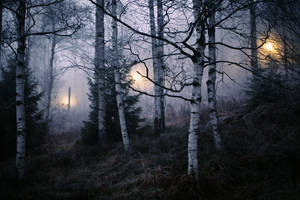 The light of your darkness.