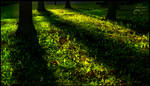 Green shadows by AStoKo