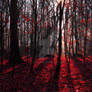 Trees ~ Red Autumn Forest 2 ~ AStoKo STOCK