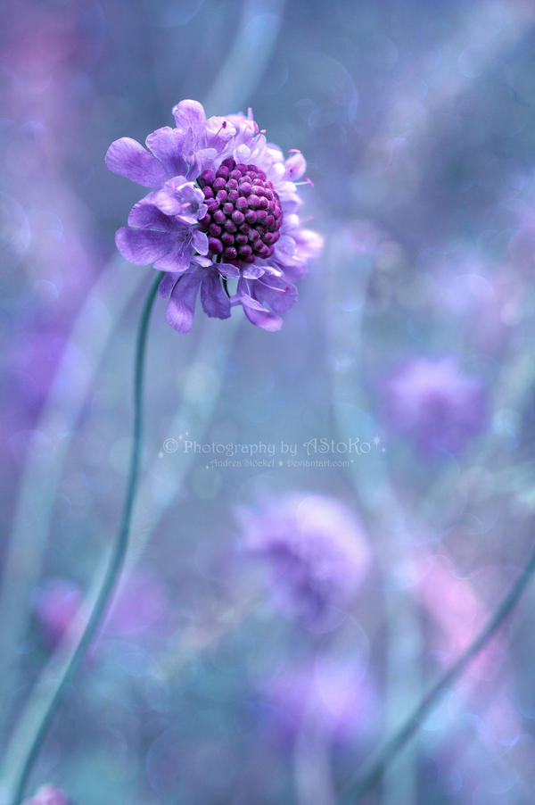Lost in thought by AStoKo
