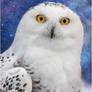 Hedwig ~ Harry Potter Owl