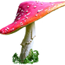 mushroom 5 STOCK