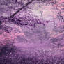 Purple Autumn Forest STOCK by AStoKo