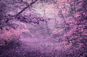 Purple Autumn Forest STOCK by AStoKo