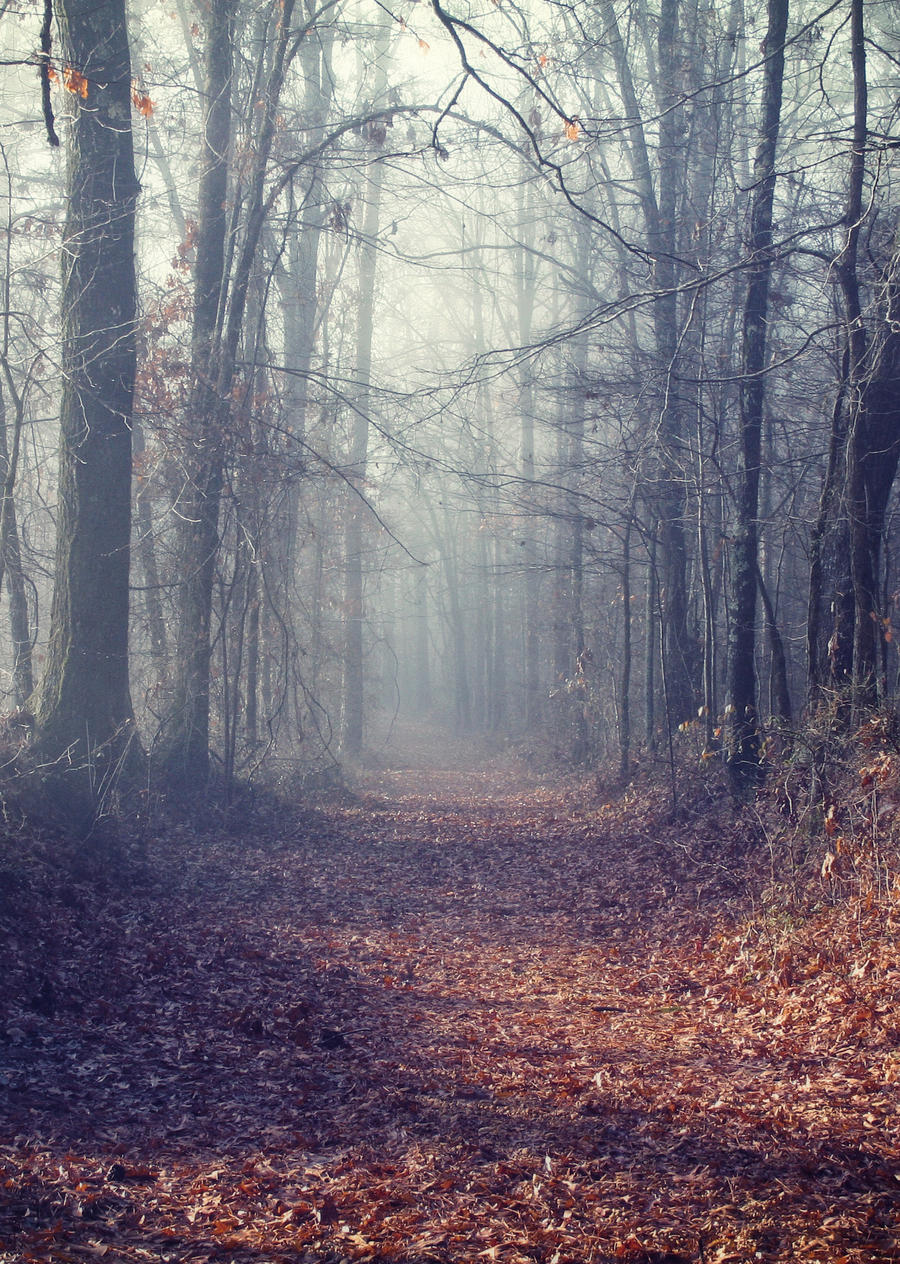 Foggy Autumn forest STOCK by AStoKo
