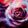 Abstract Rose 1