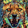 Big Cat ~ Cheetah Colorful