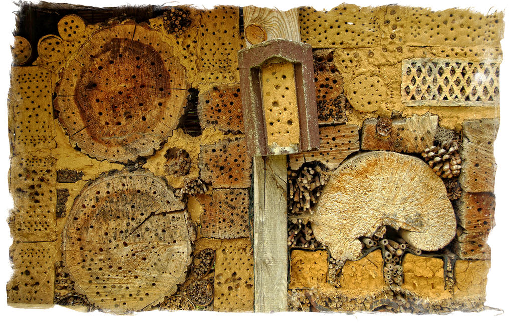 Abstract Insect House Houses for insects ~ ideas 3 by AStoKo on DeviantArt