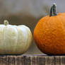 Halloween Pumpkin STOCK 01