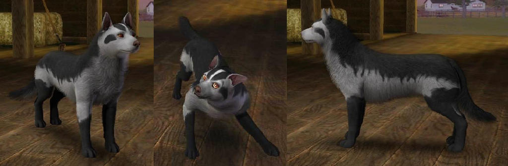 Sims3 Pokemon Mightyena