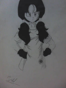 Videl