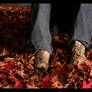 Feet Autumn