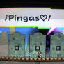 PINGAS