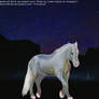 Contest Horse 5