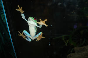 at the aquarium