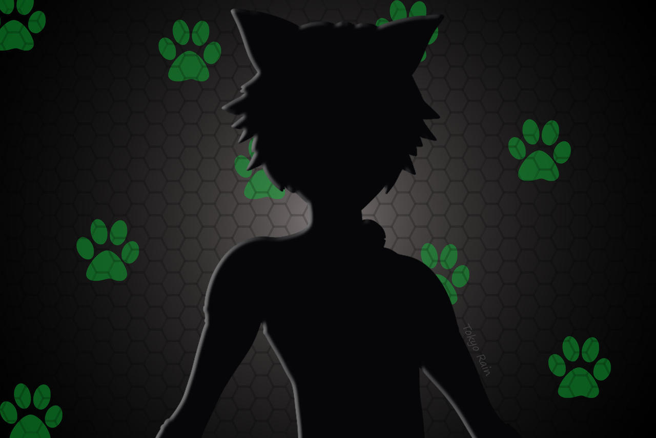Miraculous Cat Noir Desktop Wallpaper By Iitokyorain On Deviantart Miraculous Cat Noir Desktop Wallpaper By Iitokyorain On Deviantart