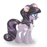 Data pony vel. persocom pony