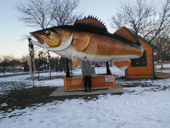 big walleye garrson mn.