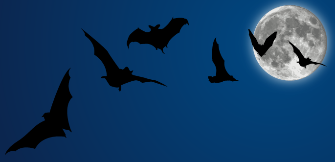 Halloween Vectors: Bats + Moon