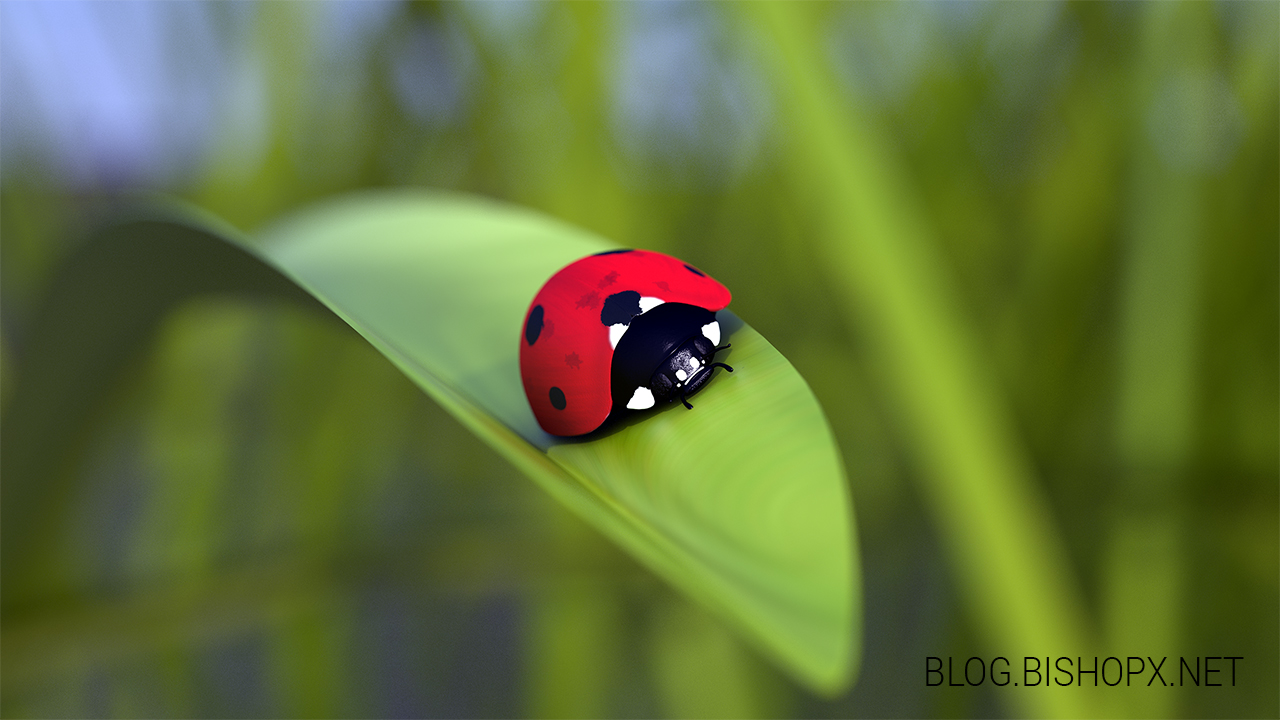 3D Lady bug without legs by chrbet on DeviantArt