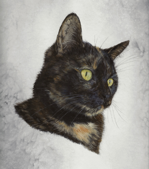 Pet portrait - Puk