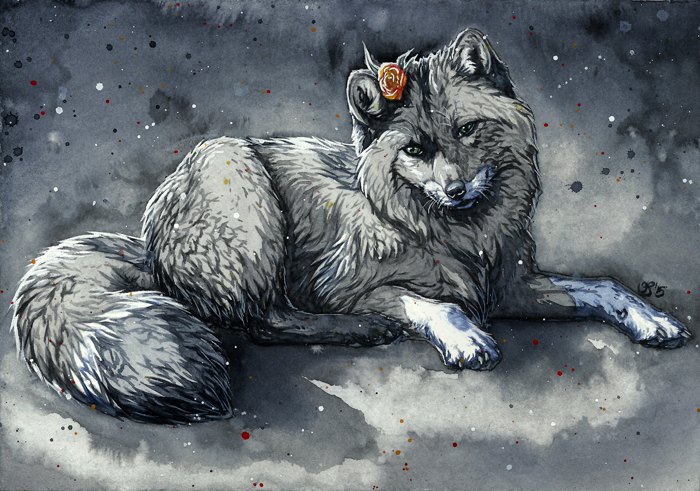 Dark Arctic Fox Kiriban