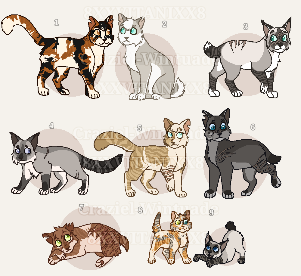 Warrior Cat Clan Adopts CLOSED by 8XxVitanixX8 on DeviantArt