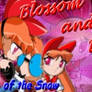 Dex and Blossom Firma